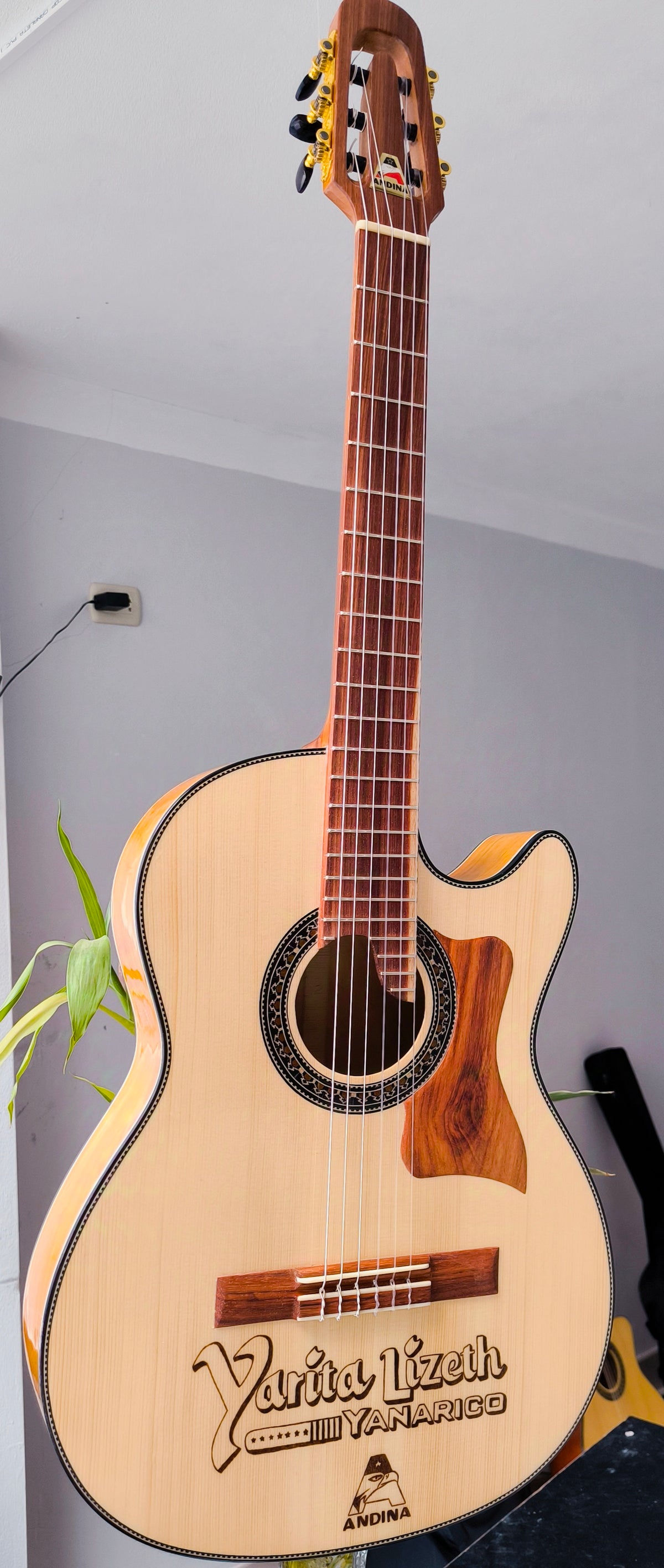 Guitarra Andina Yarita - Edición Especial con Sistema Artec Oculto y Salida Doble