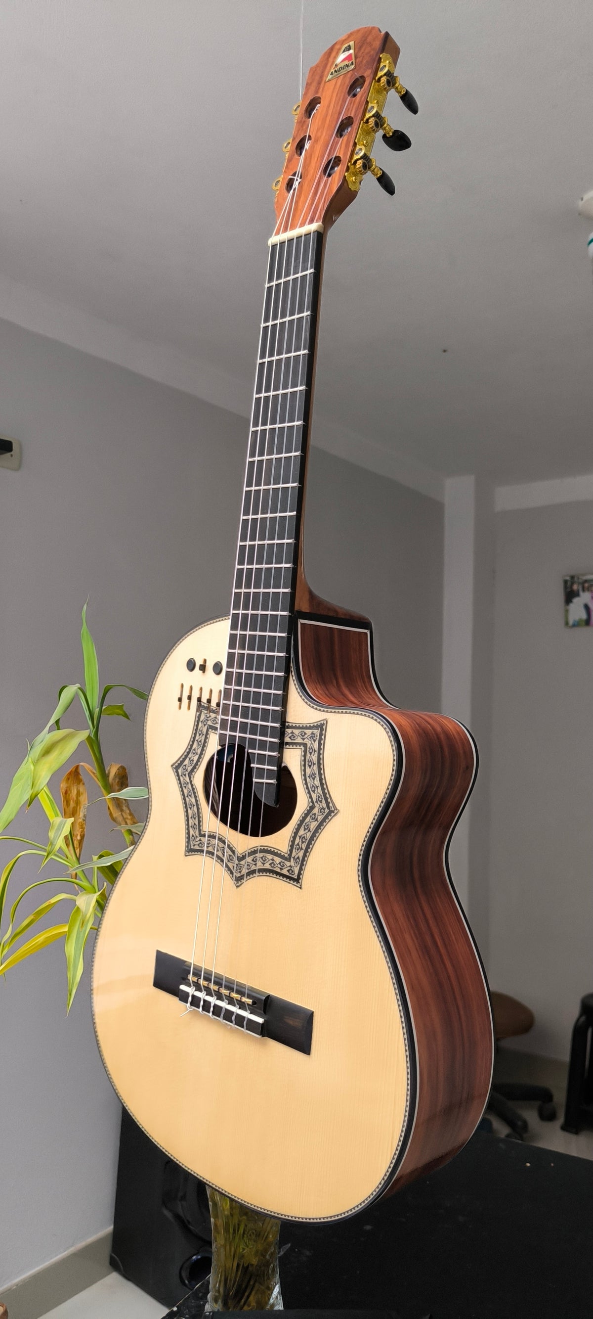 Requinto Andina Gold - Palo de Hierro con Sistema RMC Sensores Oro