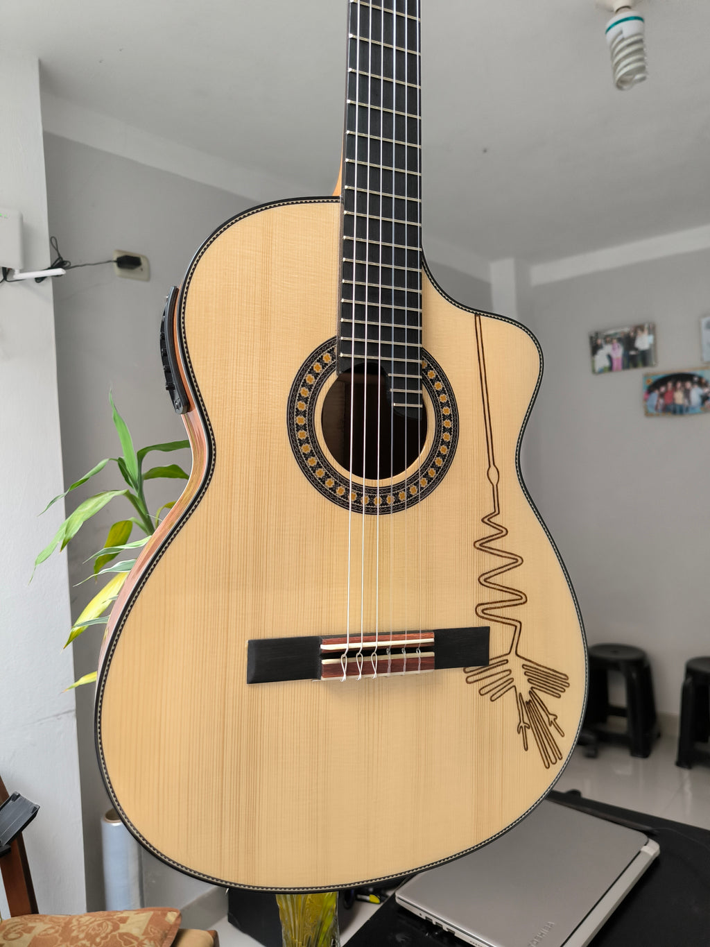 Guitarra Andina AN500 Premium 2 - Palo de Hierro con Sistema ARTEC LCD y Diseño Nazca