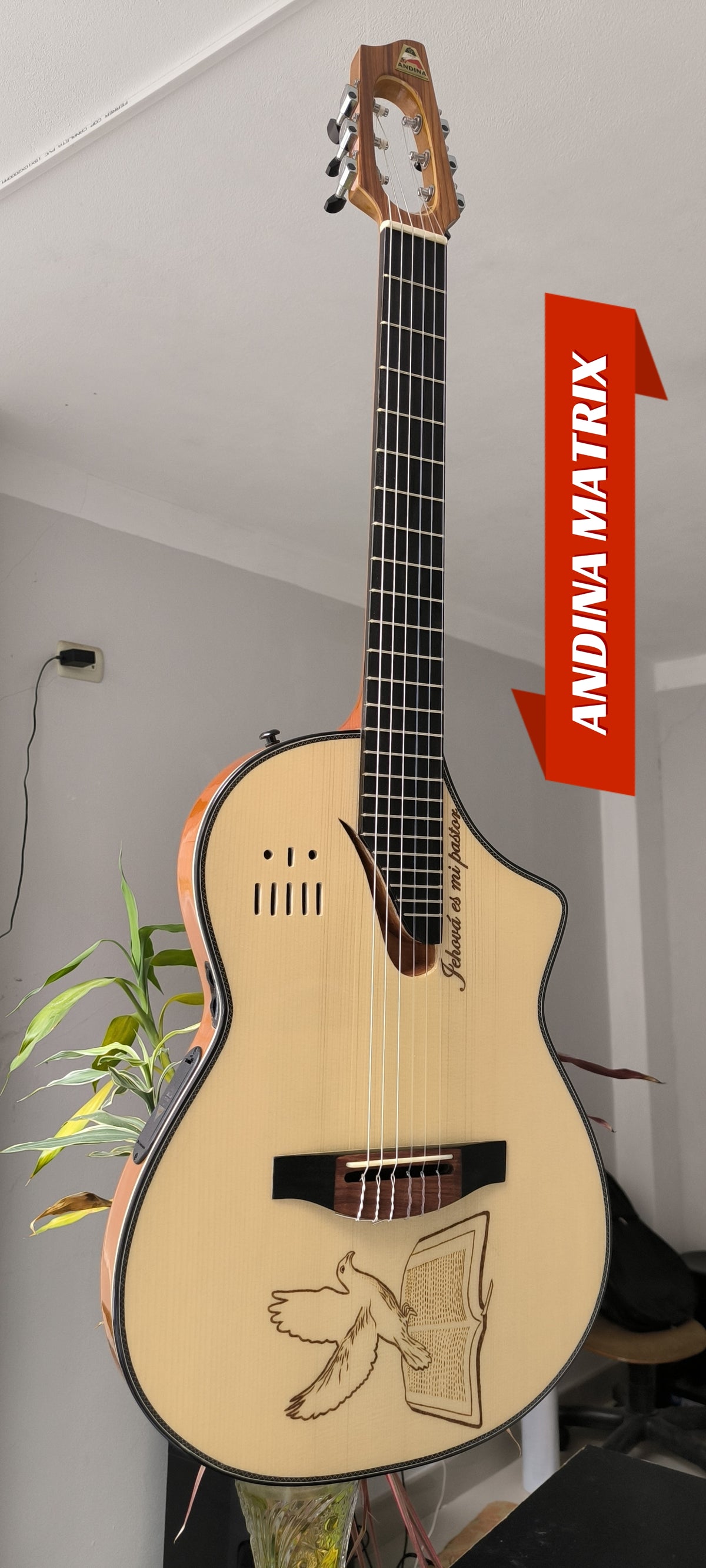 Guitarra Andina Matrix - Semisólida con Sistema Fishman Matrix Infinity