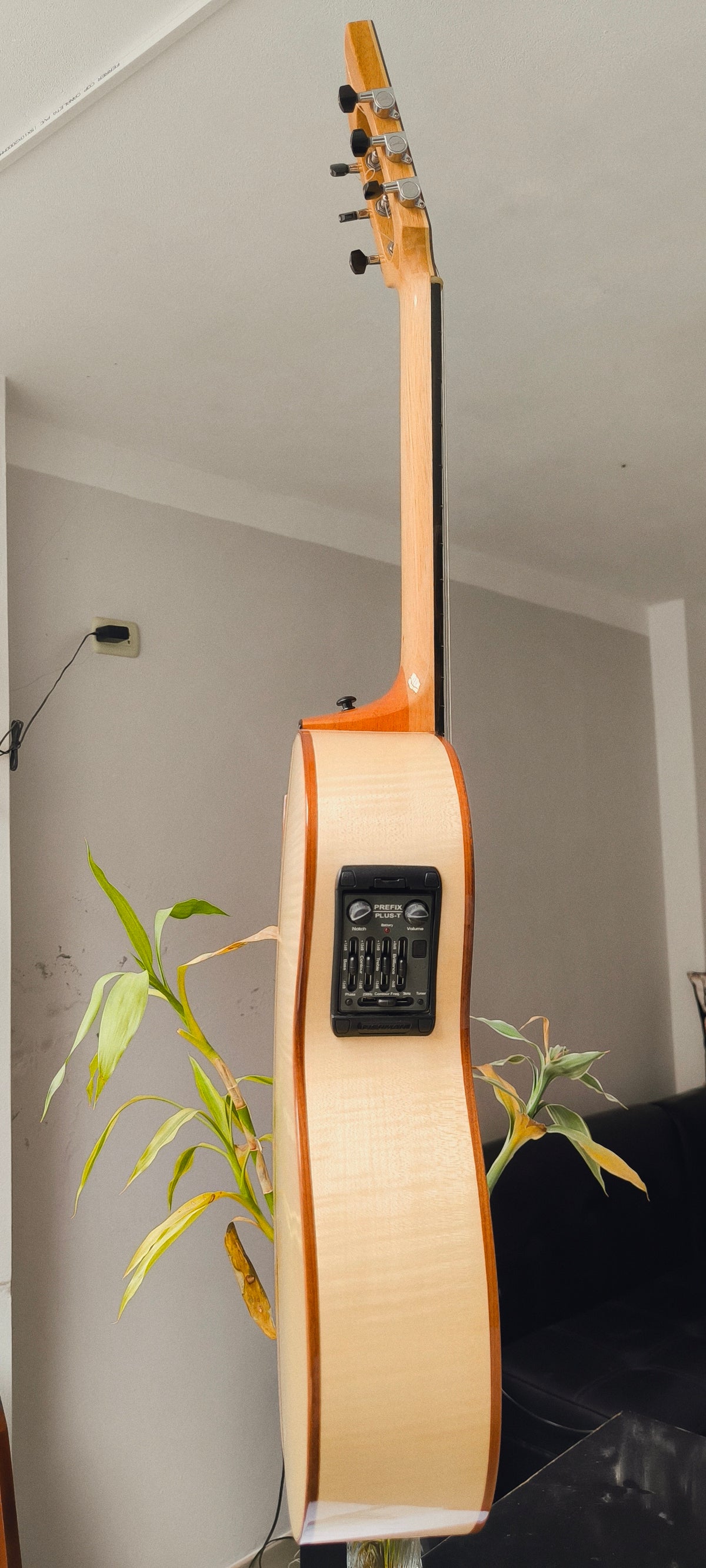 Guitarra Andina ANCX Plus - Arce Flameado con Sistema Fishman Prefix Plus-T