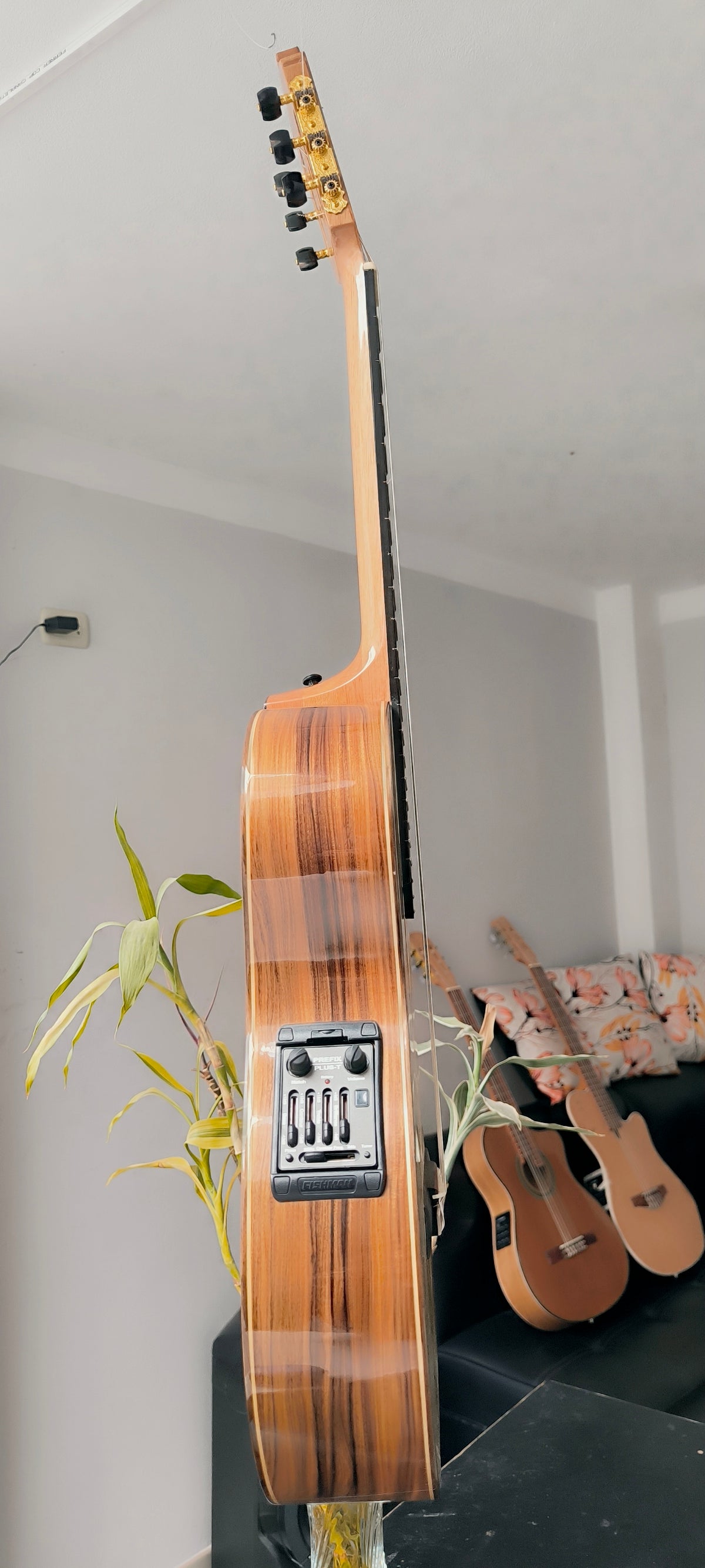Guitarra Andina AN500 Gold - Profesional con Sistema RMC Sensores Oro