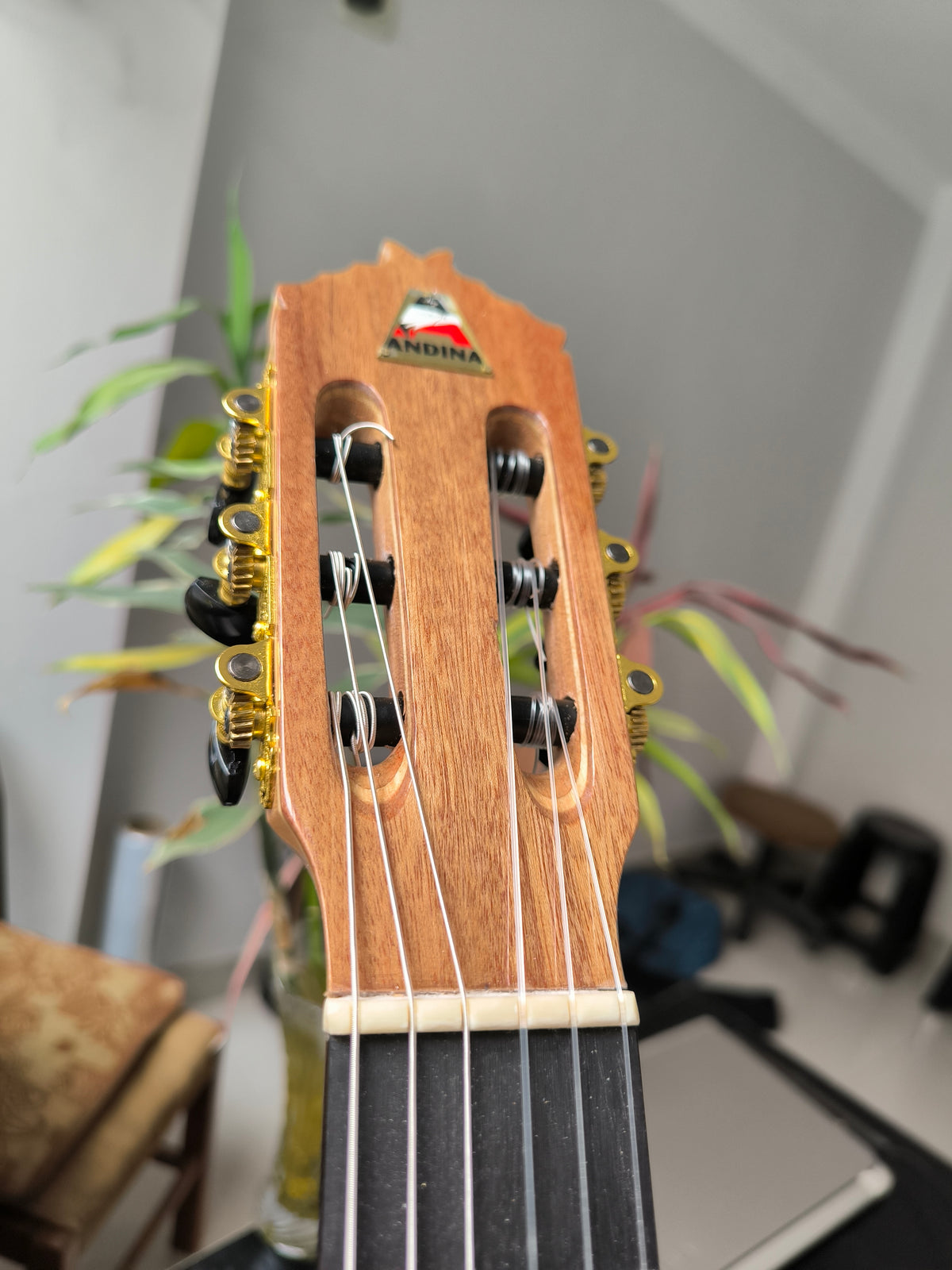 Guitarra Andina AN500 Premium 2 - Palo de Hierro con Sistema ARTEC LCD y Diseño Nazca