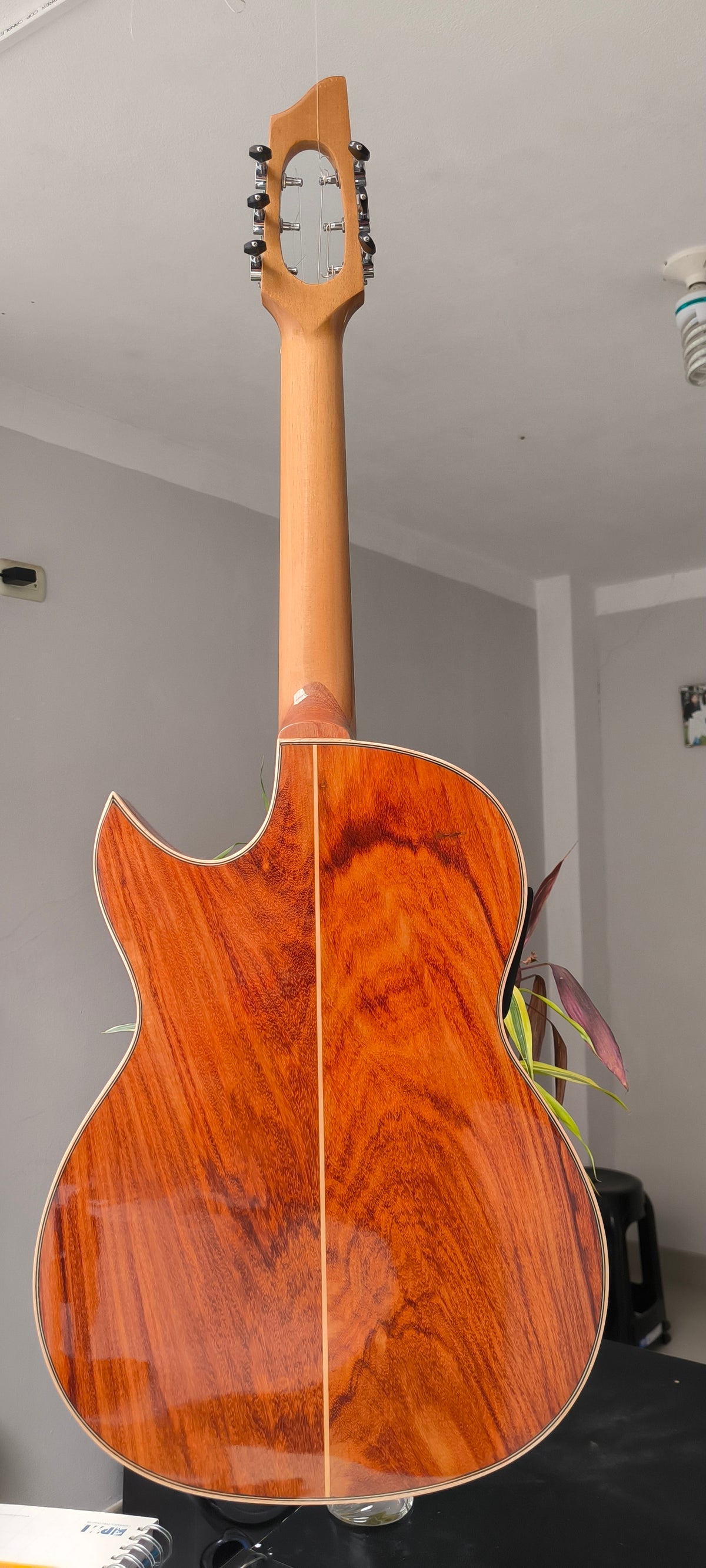 Guitarra Andina Bluetooth HiFi - Pantalla Táctil y Sistema Eddy Box con Efectos Digitales