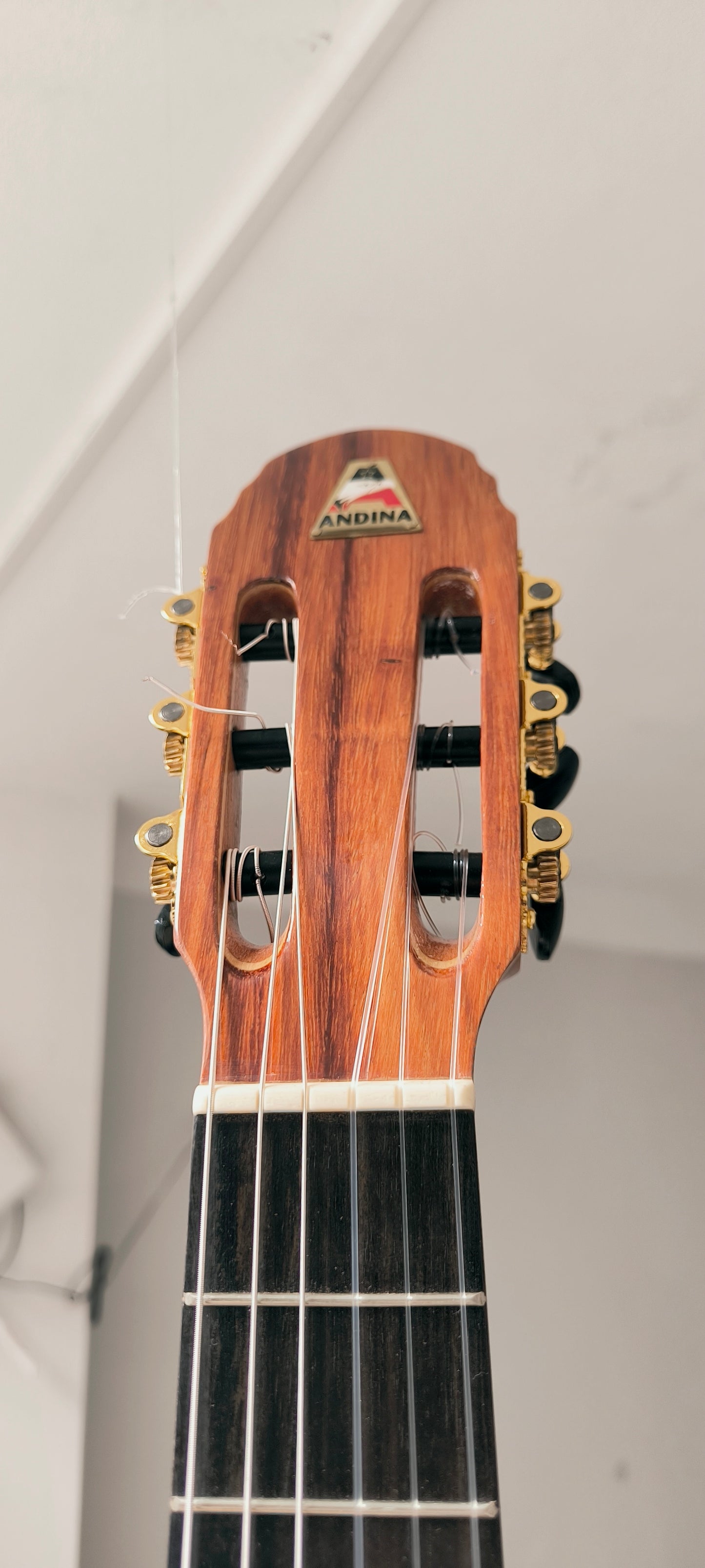 REQUINTO PROFESIONAL - ANDINA NOVA DORADO