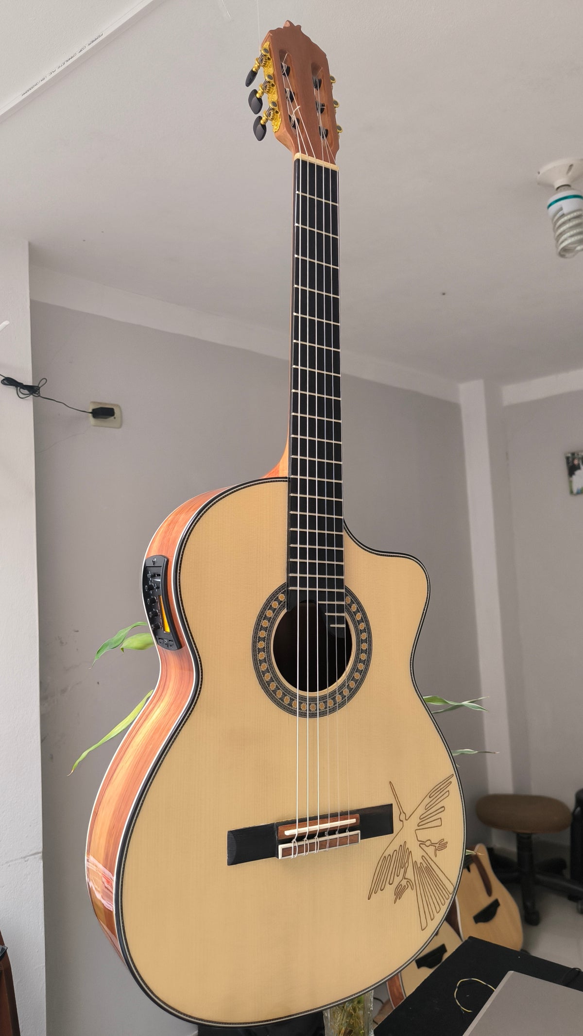 Guitarra Andina AN500 Premium 2 - Palo de Hierro con Sistema ARTEC LCD y Diseño Nazca