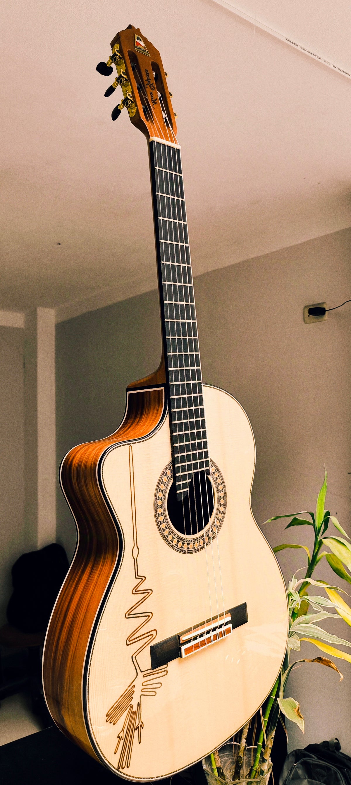 Guitarra AN500 Premium para Zurdo - Electroacústica Profesional Artesanal
