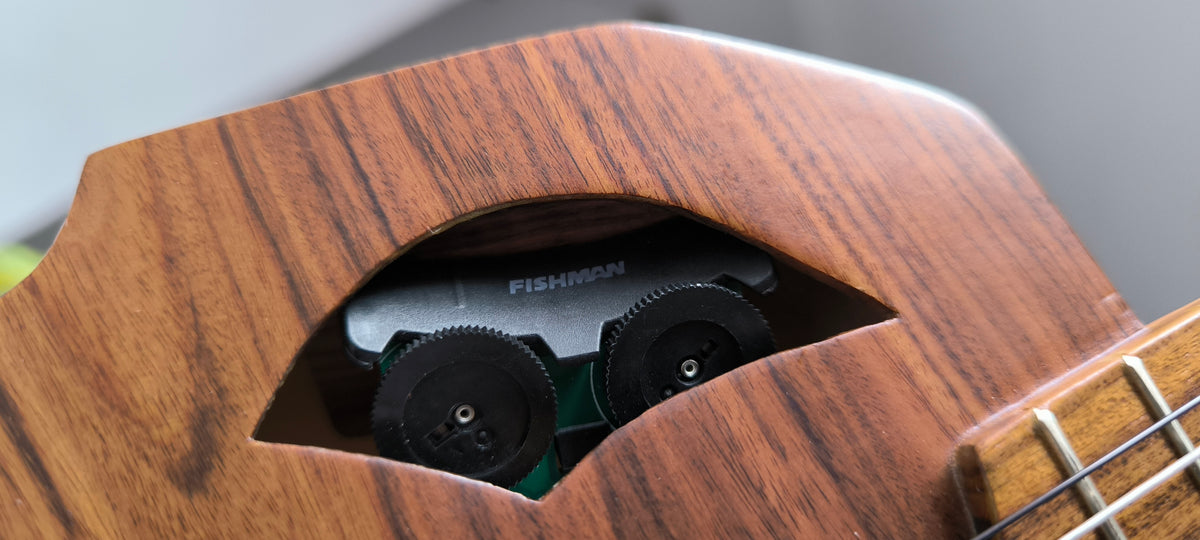Ronroco Andino Premium - Tallado a Mano con Sistema Fishman Sonitone