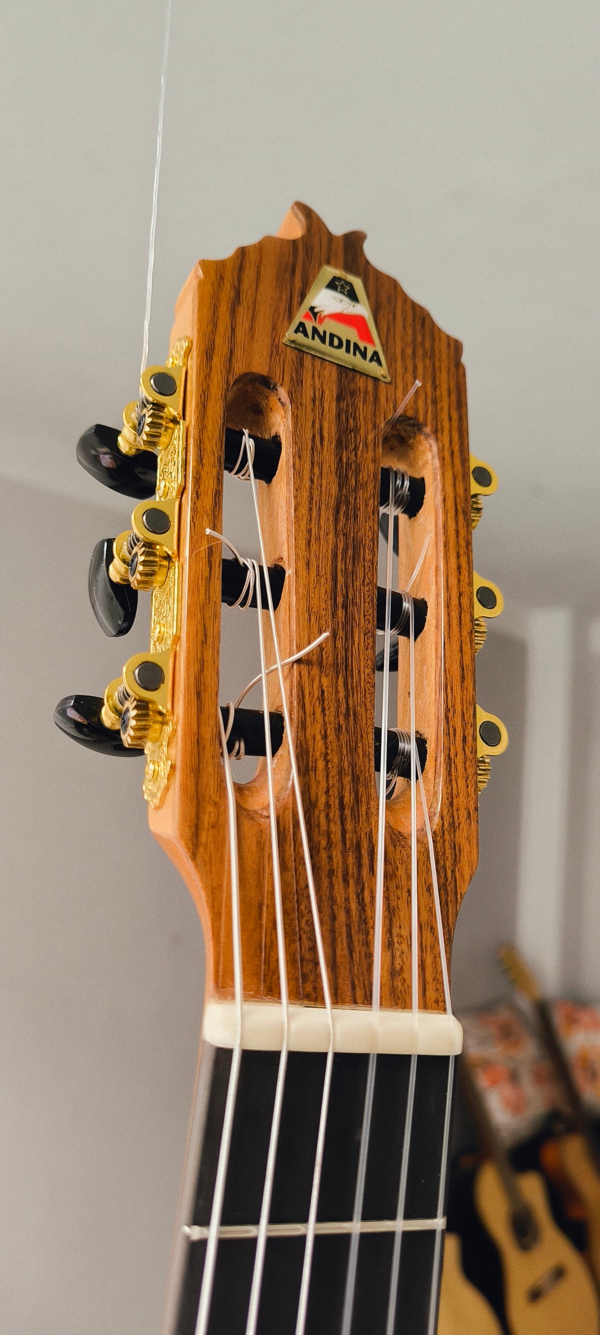 Cientos de guitarras personalizadas