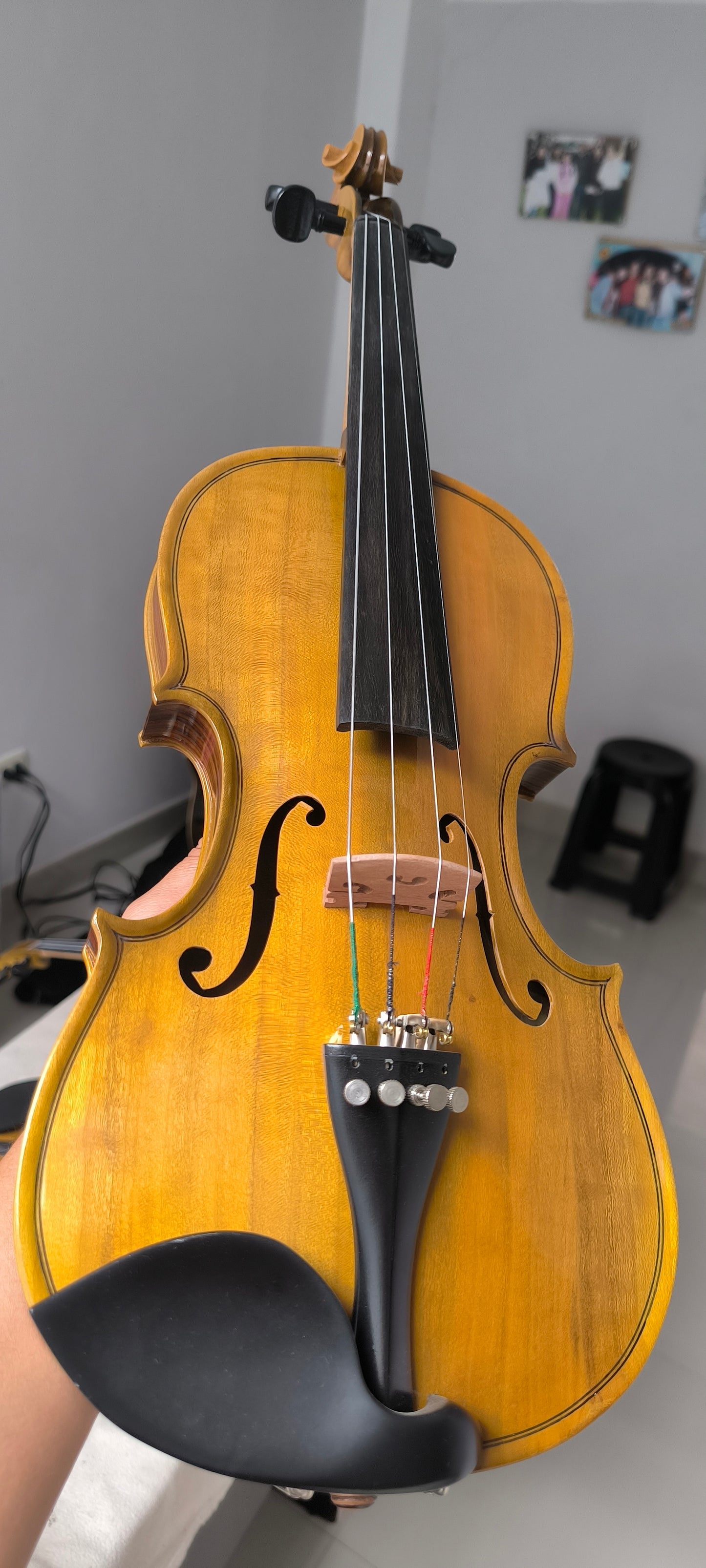 VIOLIN ANDINA