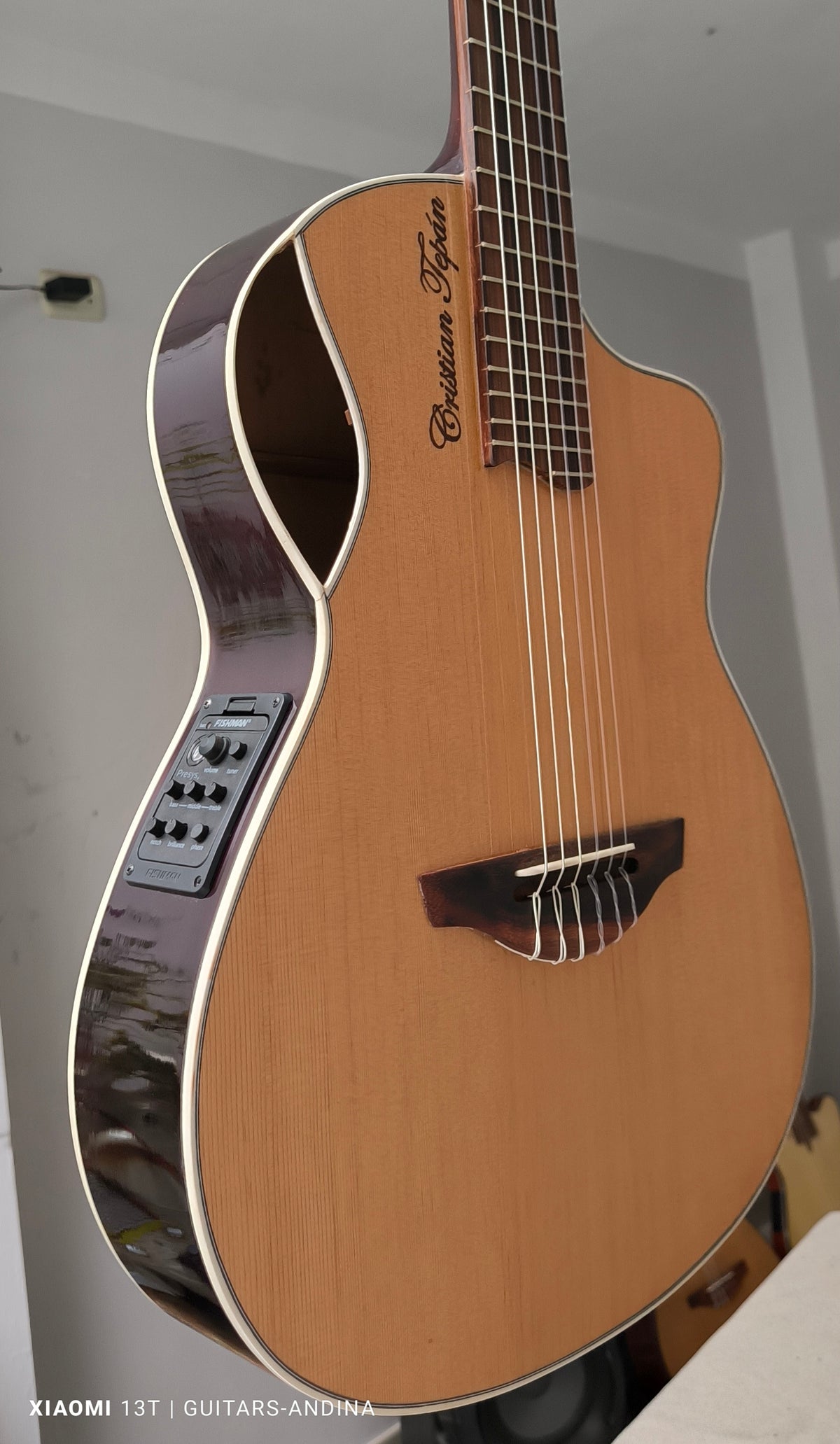 Guitarra Andina Épica - Electroacústica con Boca Lateral y Sistema Fishman Presys