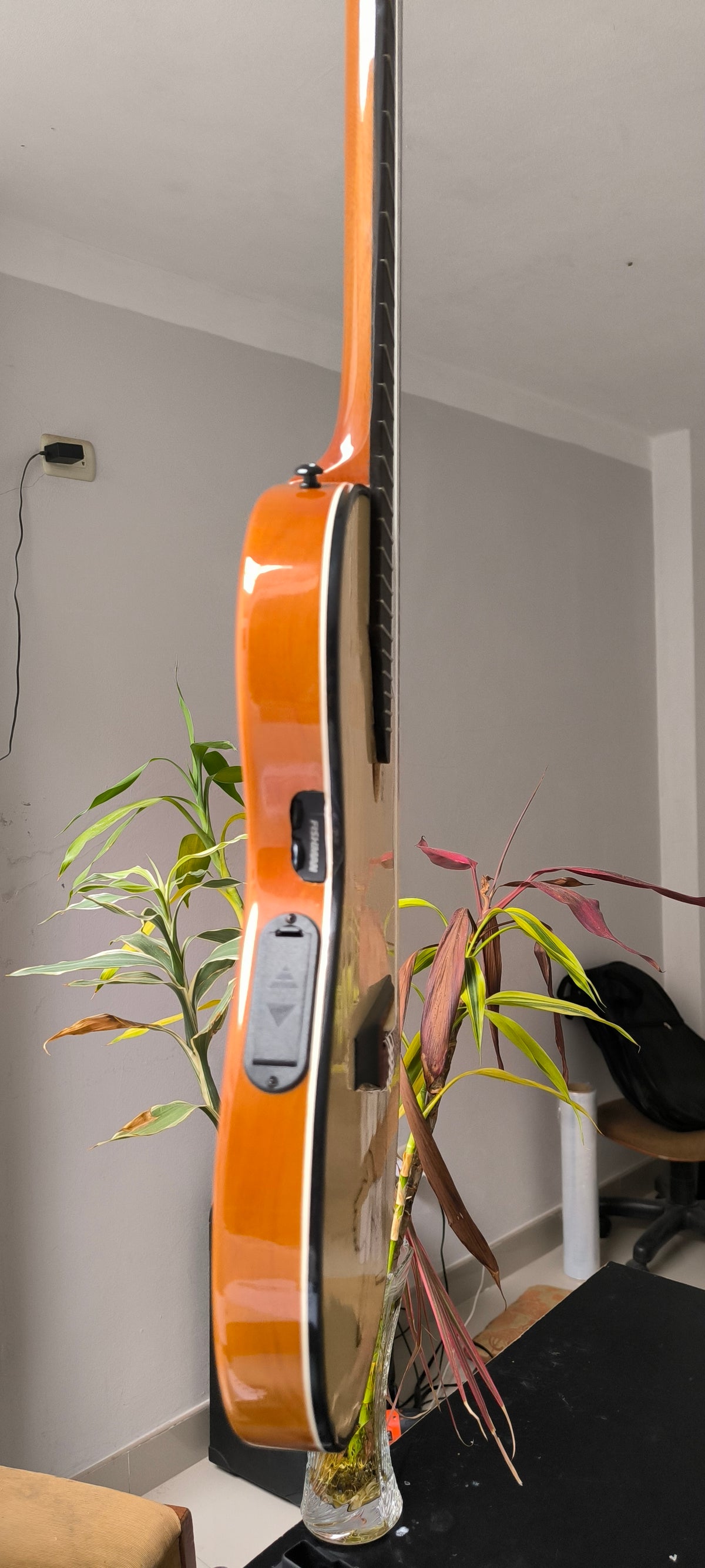Guitarra Andina Matrix - Semisólida con Sistema Fishman Matrix Infinity