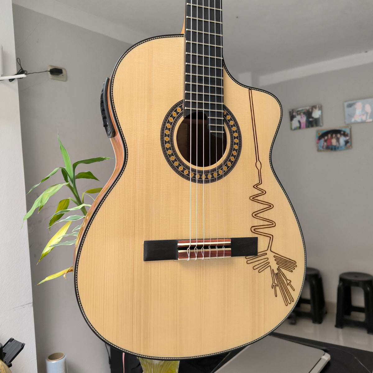 Guitarra Andina AN500 Premium 2 - Palo de Hierro con Sistema ARTEC LCD y Diseño Nazca