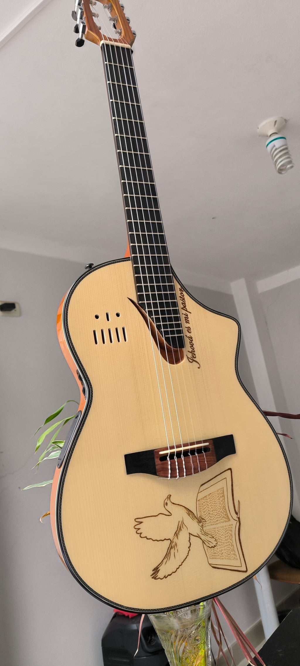 Guitarra Andina Matrix - Semisólida con Sistema Fishman Matrix Infinity